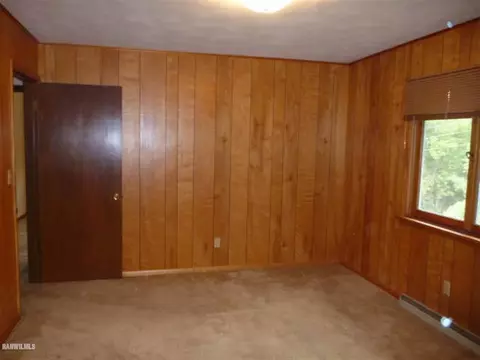 401 E Center St, Mount Carroll, IL 61053 photo 10