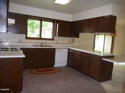 401 E Center St, Mount Carroll, IL 61053 photo 2