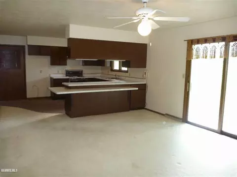 401 E Center St, Mount Carroll, IL 61053 photo 3