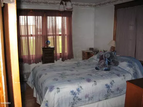 321 E Lanark Ave, Lanark, IL 61046 photo 11