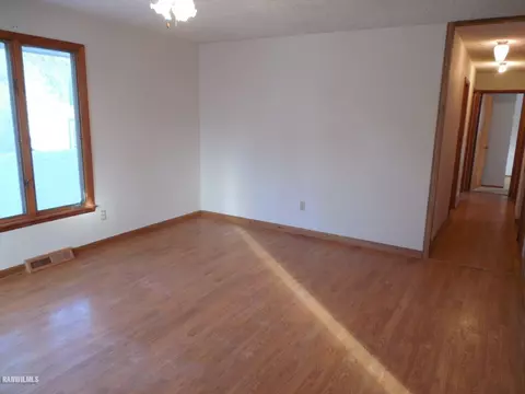 307 S Blaine St, Leaf River, IL 61047 photo 4