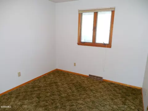 307 S Blaine St, Leaf River, IL 61047 photo 8