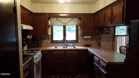 727 E Washington, Mount Carroll, IL 61053 photo 4
