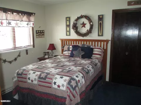 727 E Washington, Mount Carroll, IL 61053 photo 16