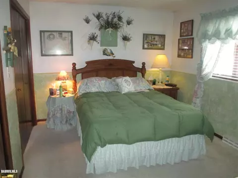 727 E Washington, Mount Carroll, IL 61053 photo 14