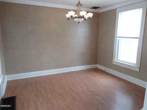 117 E 5th St, Pecatonica, IL 61063 photo 17