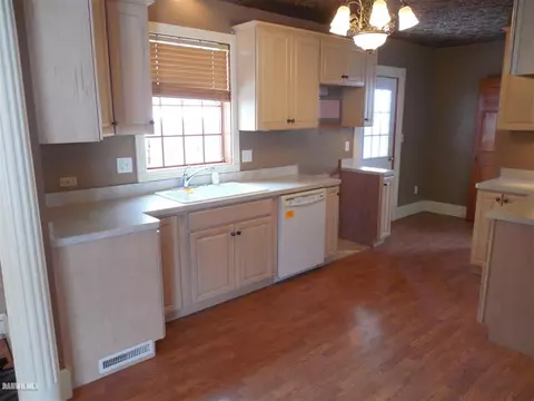 117 E 5th St, Pecatonica, IL 61063 photo 20