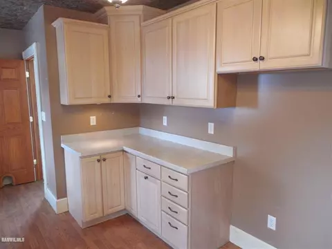 117 E 5th St, Pecatonica, IL 61063 photo 21