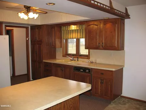 520 Huggins, Lanark, IL 61046 photo 3