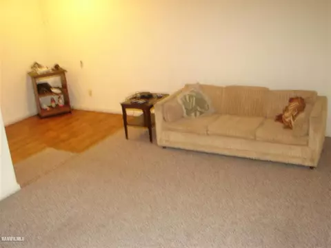 217 N Bailey, Freeport, IL 61032 photo 4