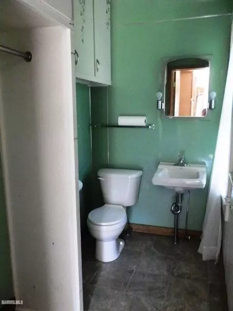 304 Carnifix St, Davis, IL 61019 photo 23