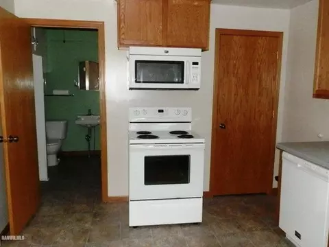 304 Carnifix St, Davis, IL 61019 photo 6