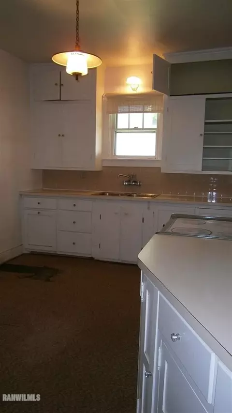 306 N Main St, Chadwick, IL 61014 photo 10