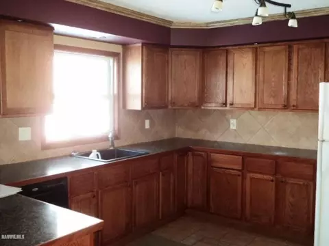 502 E Willow, Forreston, IL 61030 photo 4