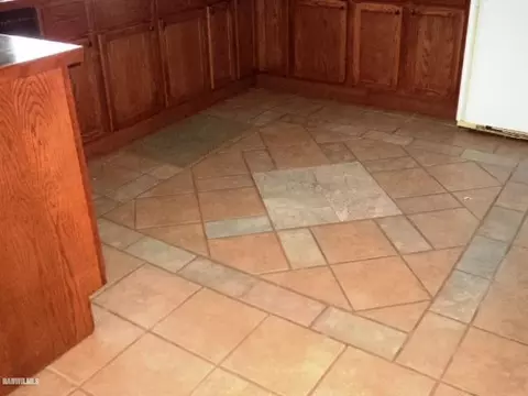 502 E Willow, Forreston, IL 61030 photo 6