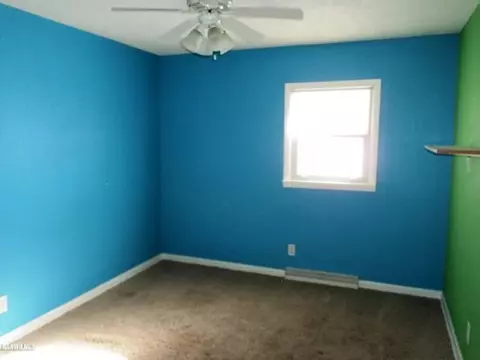 502 E Willow, Forreston, IL 61030 photo 12