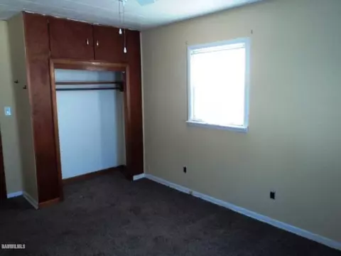 502 E Willow, Forreston, IL 61030 photo 15