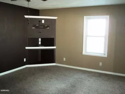502 E Willow, Forreston, IL 61030 photo 10