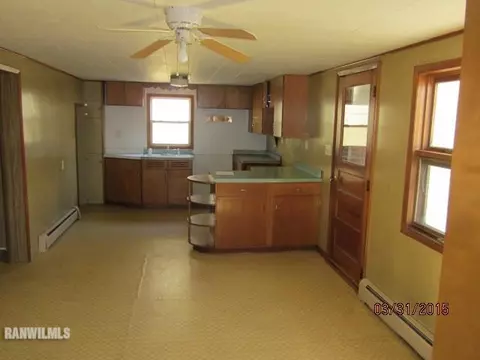 205 E Chestnut St, Apple River, IL 61001 photo 11