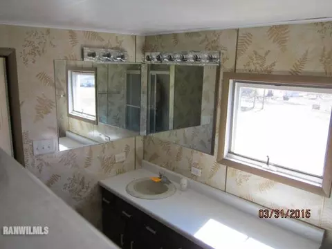 205 E Chestnut St, Apple River, IL 61001 photo 18