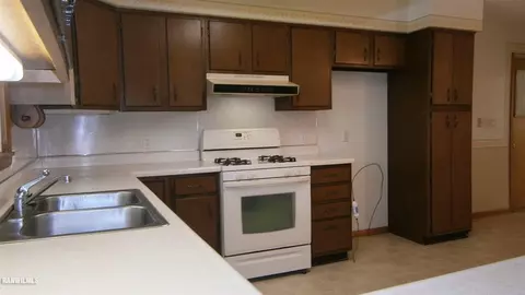 409 E Lincoln St, Mount Carroll, IL 61053 photo 11
