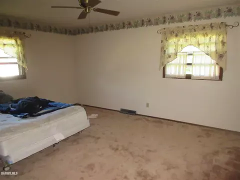 205 E Pine St, Forreston, IL 61030 photo 7