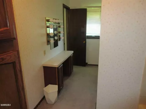 205 E Pine St, Forreston, IL 61030 photo 8