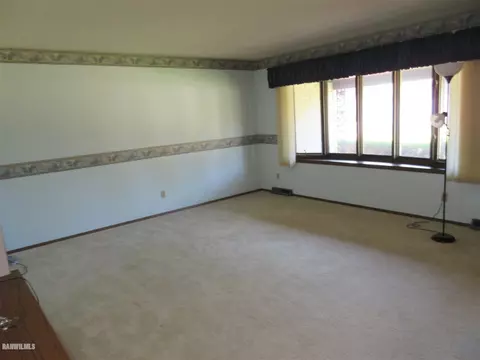205 E Pine St, Forreston, IL 61030 photo 4