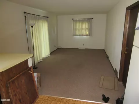 205 E Pine St, Forreston, IL 61030 photo 10