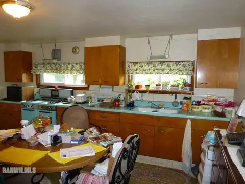 217 S Westside Ave, Lanark, IL 61046 photo 3