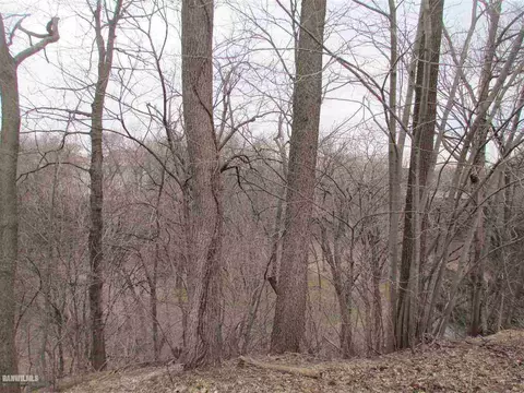 219 E Lincoln, Mount Carroll, IL 61053 photo 16