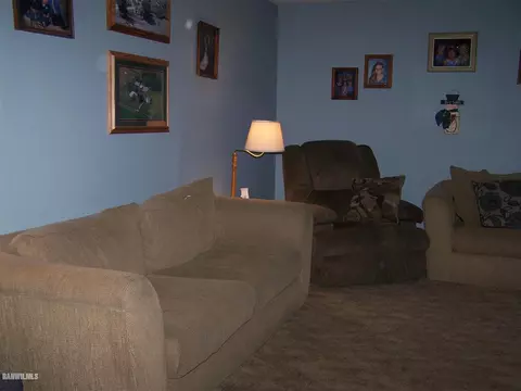511 Calvert Ave, Chadwick, IL 61014 photo 5