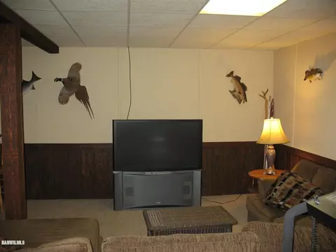 20-19 R Fox Run Dr, Lake Carroll, IL 61046 photo 13