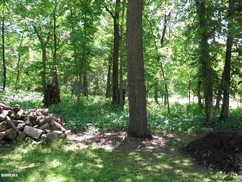 20-19 R Fox Run Dr, Lake Carroll, IL 61046 photo 23