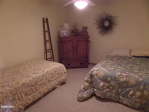 4-98 Beachcomber Ln, Lanark, IL 61046 photo 13
