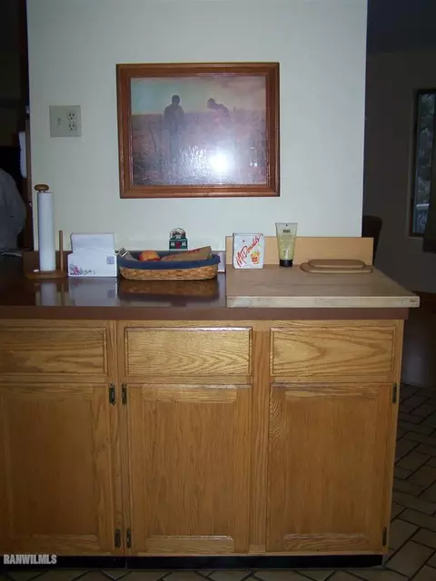 10258 Four Mile Rd, Thomson, IL 61285 photo 18