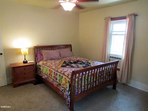 310 S Burns St, Lanark, IL 61046 photo 20