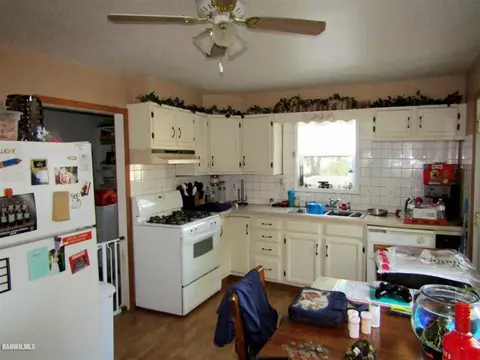 304 E 2nd St, Leaf River, IL 61047 photo 9