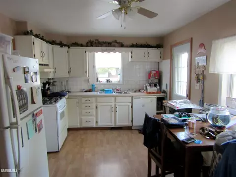 304 E 2nd St, Leaf River, IL 61047 photo 10