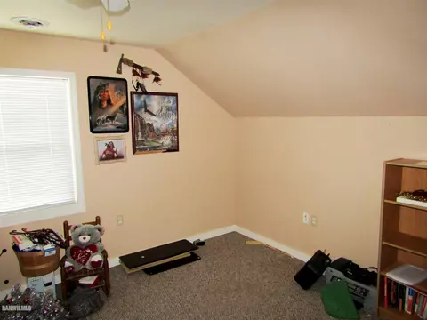 304 E 2nd St, Leaf River, IL 61047 photo 13