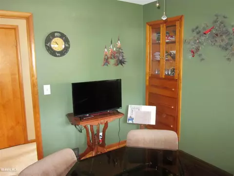106 E Willow St, Forreston, IL 61030 photo 11