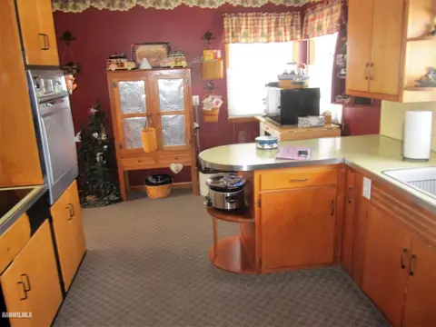106 E Willow St, Forreston, IL 61030 photo 12