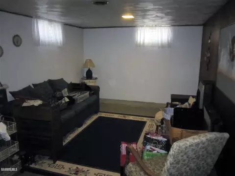 106 E Willow St, Forreston, IL 61030 photo 16