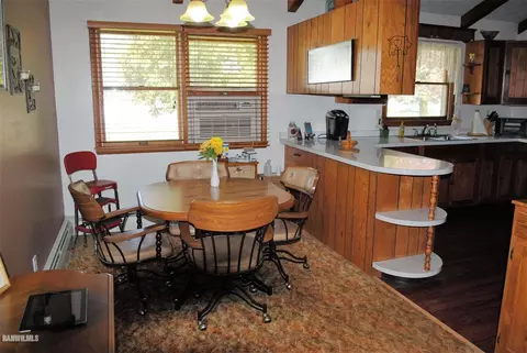 317 Marion Ave, Chadwick, IL 61014 photo 5