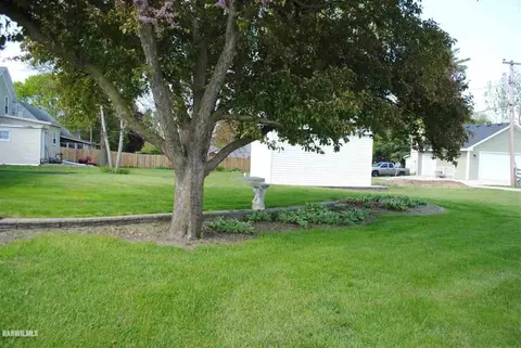 317 Marion Ave, Chadwick, IL 61014 photo 17