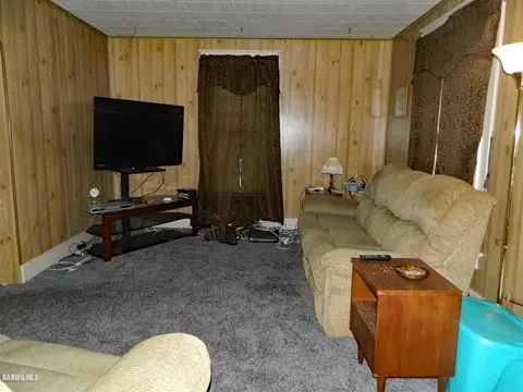 124 Wilson, Chadwick, IL 61014 photo 6