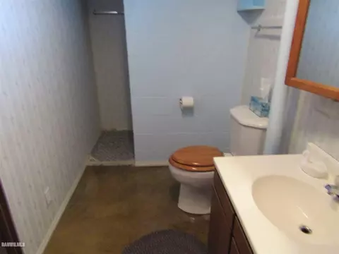 121 W Dame Ave, Lanark, IL 61046 photo 25