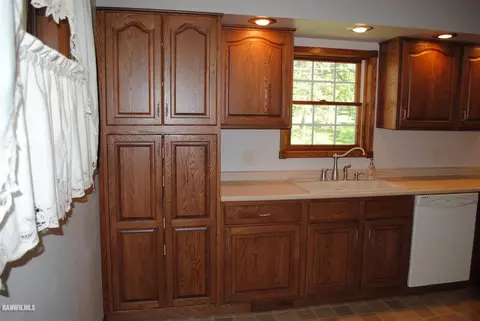 208 E Ridge St, Mount Carroll, IL 61053 photo 4