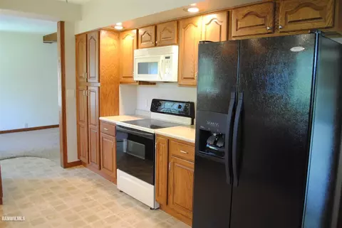 208 E Ridge St, Mount Carroll, IL 61053 photo 2