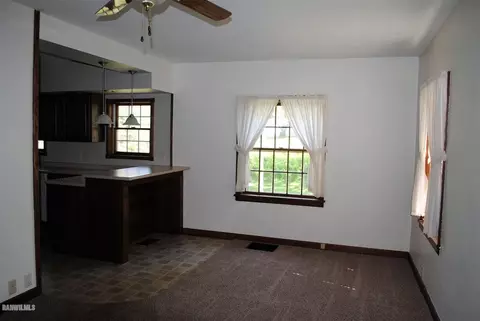 208 E Ridge St, Mount Carroll, IL 61053 photo 6